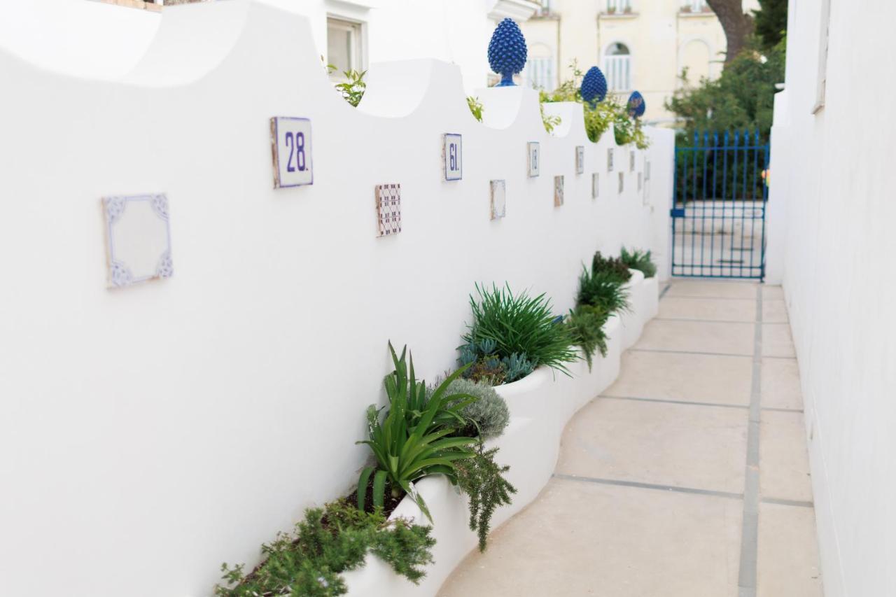 Bed and Breakfast La Pigna Blu Anacapri  Esterno foto