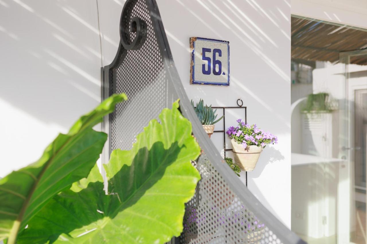 Bed and Breakfast La Pigna Blu Anacapri  Esterno foto